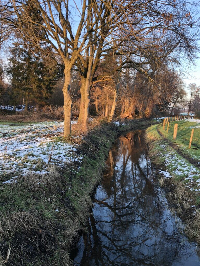 Ein Wassergraben, eine Fleuth mit Bäumen am Ufer
