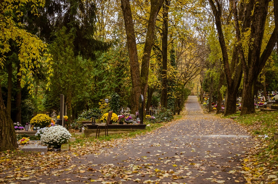 Weg auf einem Friedhof